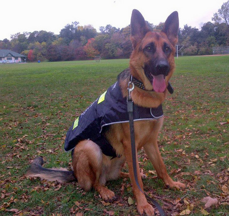 Lexi in vest